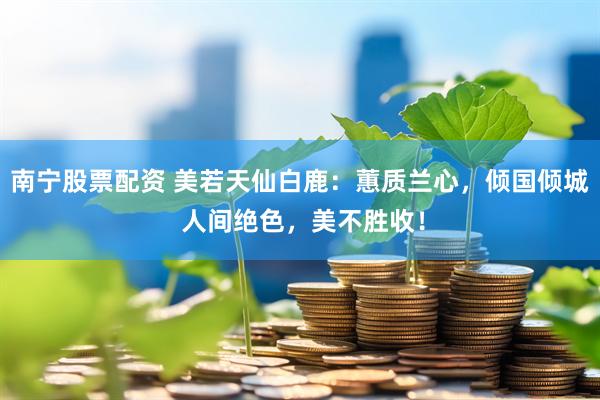 南宁股票配资 美若天仙白鹿：蕙质兰心，倾国倾城 人间绝色，美不胜收！