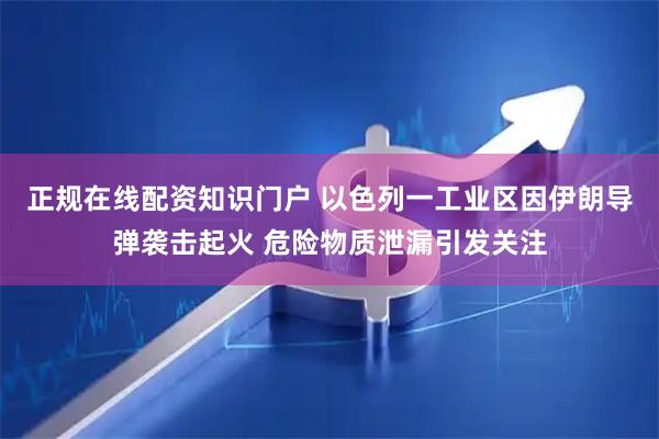 正规在线配资知识门户 以色列一工业区因伊朗导弹袭击起火 危险物质泄漏引发关注